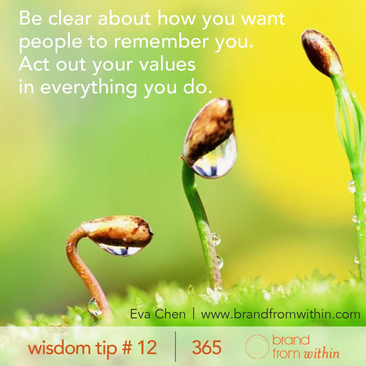 DAY 12 WISDOM TIP