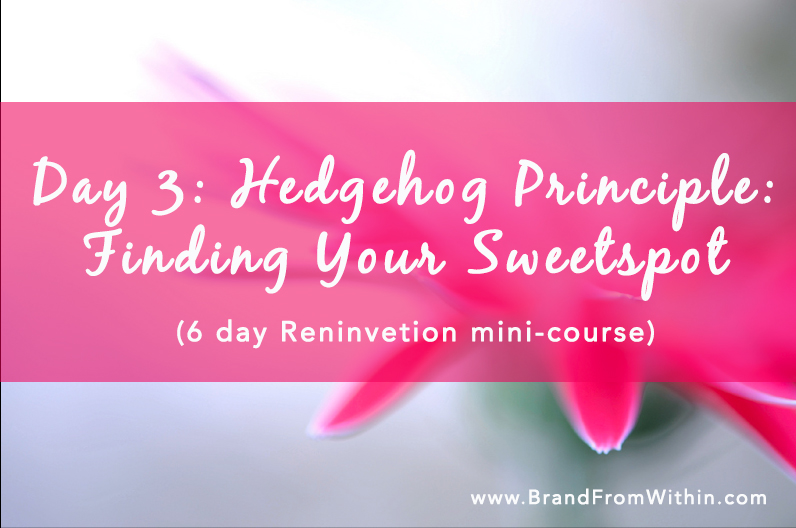 Day 3 {The Hedgehog Principle} Finding Your Sweetspot: Reinvention Series