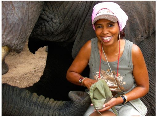Kay Trotman: Find Yourself in Africa